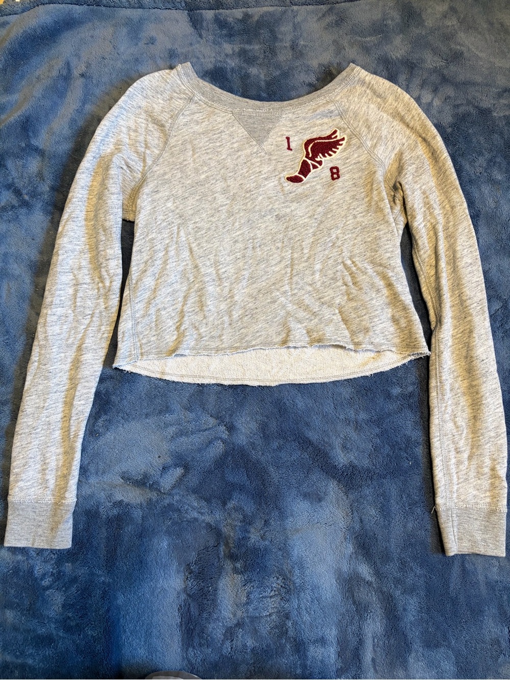 Abercrombie & Fitch Light Gray Cropped Crewneck Sweater with Maroon Wing Patch